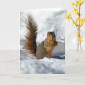 verrassingseekhoorn kaart (Gele Bloem)