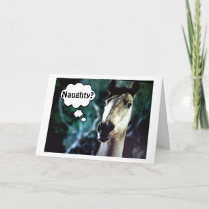 VERRAST PAARD=JE WAS STOUT VOOR KERST FEESTDAGEN KAART