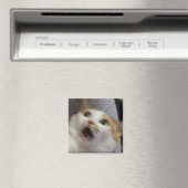 Verraste kat meme magneet (Insitu (Vaatwasser))