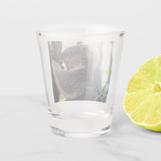 Verre à liqueur d'ours de koala (Dos)