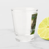 Verre A Shot Agama, lézard (Gauche)