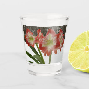 Verre A Shot Amaryllis en Fête Rouge Neige Hiver Floral