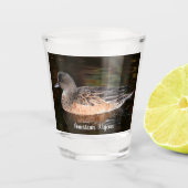 Verre A Shot American Wigeon Wildlife Photo (Devant)