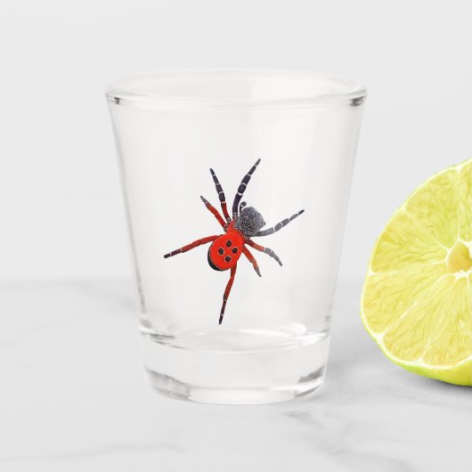 Verre A Shot Araignée rouge (Devant)