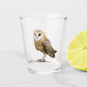 Verre A Shot Barn Owl