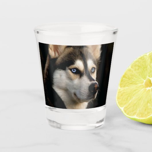 Verre A Shot Beau Oreiller Husky Lrow (Devant)