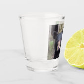 Verre A Shot Belle Ours Noir (Gauche)