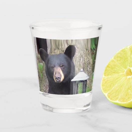 Verre A Shot Belle Ours Noir (Devant)