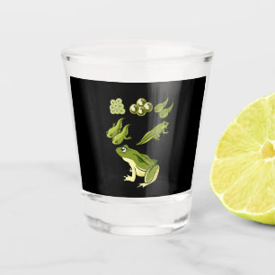 Verre A Shot Biologie - Cycle de vie de la grenouille