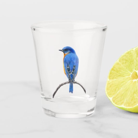 Verre A Shot Bluebird (Devant)
