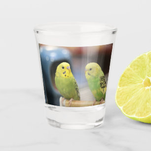 Verre A Shot Bouchons sérieux