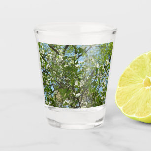 Verre A Shot Branche of Dogwood Blossoms Spring Trees