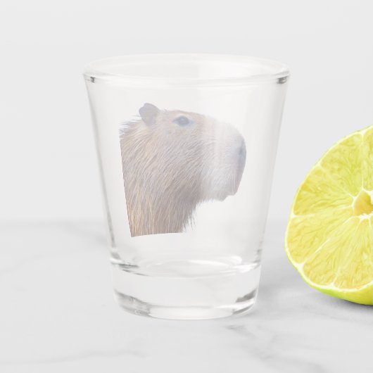 Verre A Shot Capybara (Dos)