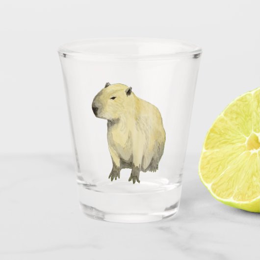 Verre A Shot Capybara (Devant)