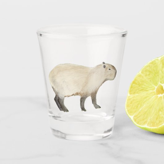 Verre A Shot Capybara (Devant)