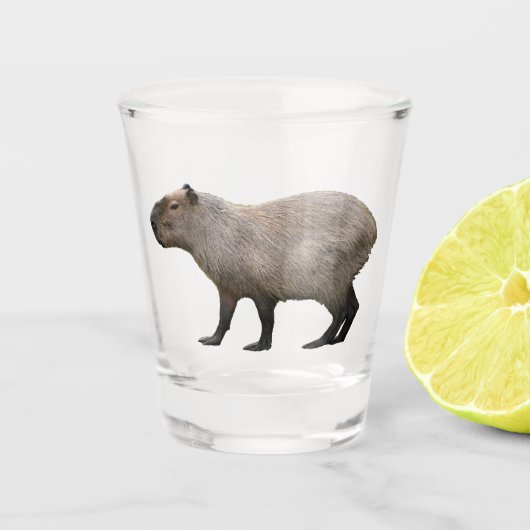 Verre A Shot Capybara (Devant)