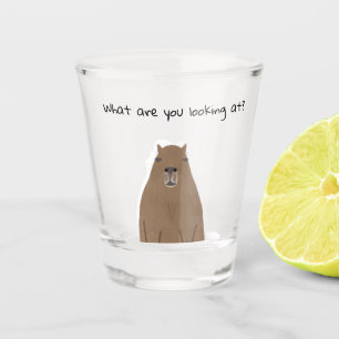 Verre A Shot Capybara ce que vous regardez Drinkware Set