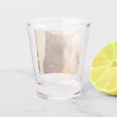 Verre A Shot Cat (Dos)