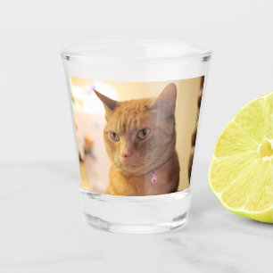 Verre A Shot Cat