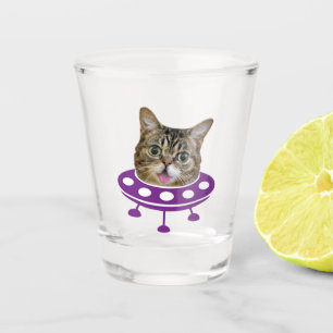 Verre A Shot Chat spatial