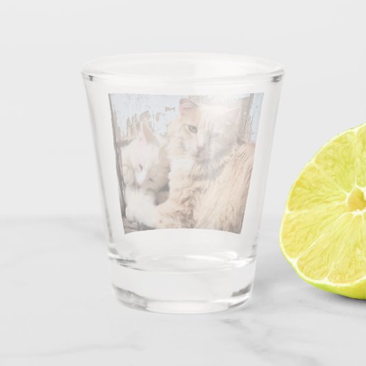 Verre A Shot Chats (Dos)