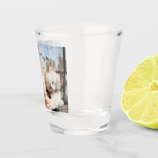 Verre A Shot Chats (Droite)