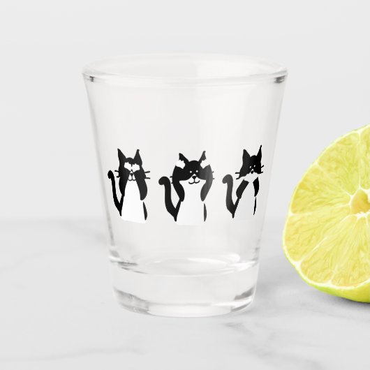 Verre A Shot Chats noirs et blancs | Trois chatons (Devant)