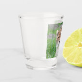 Verre A Shot Cheetah 002 (Gauche)