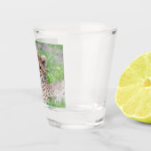 Verre A Shot Cheetah 002 (Droite)