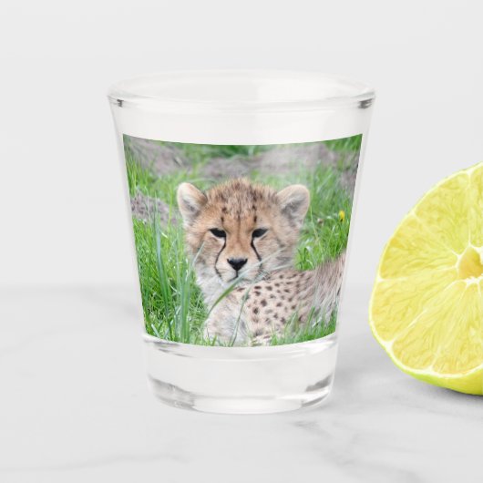 Verre A Shot Cheetah 002 (Devant)