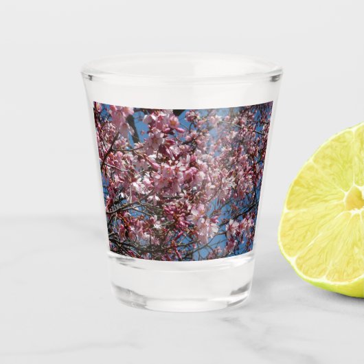 Verre A Shot Cherry Blossoms et Blue Sky Spring Floral (Devant)