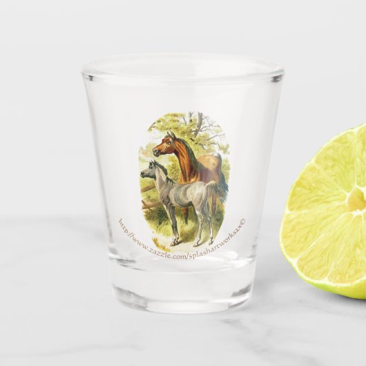 Verre A Shot "Cheval Tonique" (Devant)