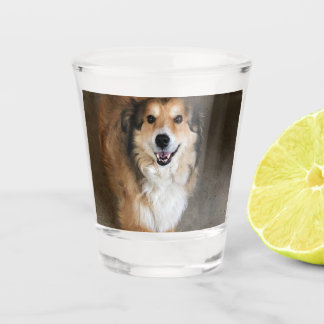 Verre A Shot Chien