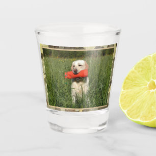 Verre A Shot Chien de Chasse-Laboratoire Jaune Avec Trim Camo