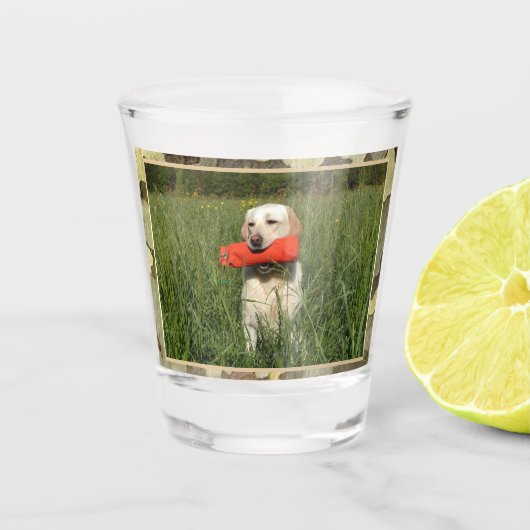 Verre A Shot Chien de Chasse-Laboratoire Jaune Avec Trim Camo (Devant)