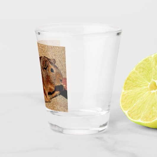 Verre A Shot Cobaye de regard de Corkboard (Droite)