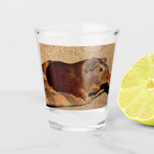 Verre A Shot Cobaye de regard de Corkboard