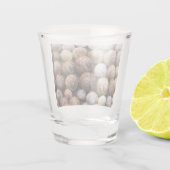 Verre A Shot Coques des escargots (Dos)