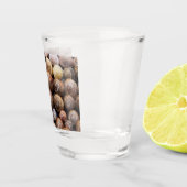 Verre A Shot Coques des escargots (Droite)