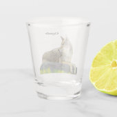 Verre A Shot Coyote (Dos)