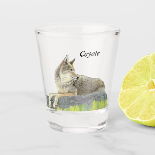 Verre A Shot Coyote (Devant)