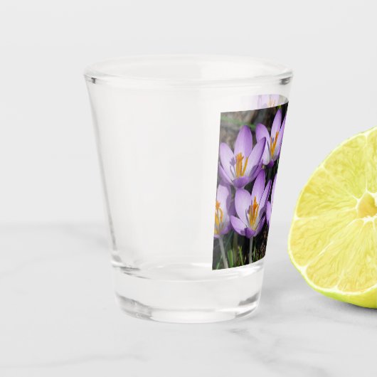 Verre A Shot Crocus violets ensoleillés (Gauche)