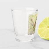 Verre A Shot Crotale albinique Vitre de tir (Gauche)