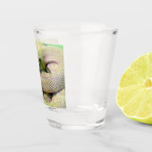 Verre A Shot Crotale albinique Vitre de tir (Droite)