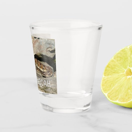 Verre A Shot Crotale dans le parc national de Shenandoah (Droite)