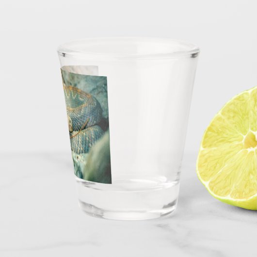 Verre A Shot Crotte (Droite)