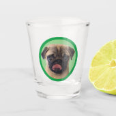 Verre A Shot Cute Pet Carlin Pup Amoureux des chiens Photo Stoc (Devant)
