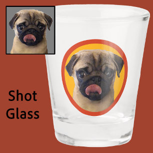 Verre A Shot Cute Pet Carlin Pup Amoureux des chiens Photo Stoc