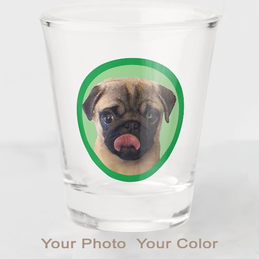 Verre A Shot Cute Pet Carlin Pup Amoureux des chiens Photo Stoc