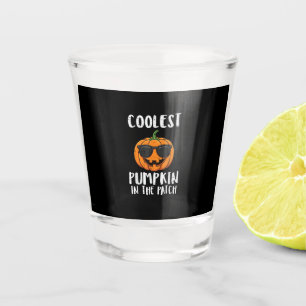 Verre A Shot Déguisement de Patch de Citrouille le plus Cool po